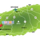 덕수교차로(평화로) 이미지