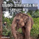 코끼리잠 | 태국 치앙마이 코끼리 보호구역 투어 내돈내산 후기