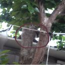 영민동물병원 이미지