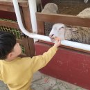 한터농원 영농조합법인 이미지