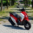 위티비즈 이미지