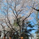 수봉양궁장 이미지