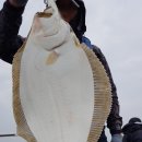 영복1호 이미지