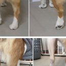 바로슬동물병원 이미지