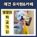 안녕 댕댕아 | 오산 애견카페 추천 _댕댕아 학교가자 _오산점 후기 _강아지 유치원 _애견카페