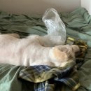 위닝푸드 이미지