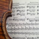 루첼라리아 이미지