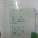 세운사 Daum카페