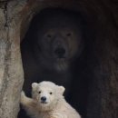 드디어,상봉 이미지