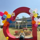 대홍초등학교 이미지