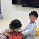 그림책 꽃밭 | 하임슐레 12월 장난감 후기｜무지개 꽃밭부터 공룡책까지 알찬 3종 구성