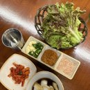 백천동 | 경산 백천동 맛집 감성족발 경산점 보쌈 후기