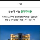 제주테라스형 하우스 /한림/분양.전세.임대 이미지