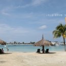 블루비치B 이미지