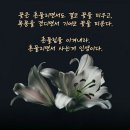 9월.29일.수요일 간추린 뉴스 이미지