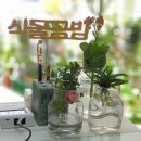 북부산시장 | 부산사직동꽃집 식물공방 졸업식 꽃다발 주문