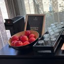 강변비치파크 | 파크플라자 부다페스트 호텔 슈페리어룸 3박 후기/국회의사당뷰 호텔 추천