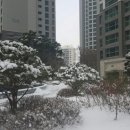 반포리체, 리체 꿈나라어린이집 이미지