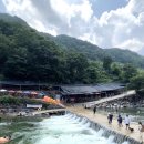 하얀마을경남경로당 | 경남 산청 지리산 계곡 추천 함양 하동 물놀이 계곡식당 백숙 모음집