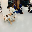 주짓수 복싱 이미지