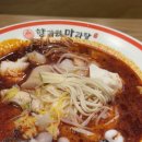 수지마라탕 | 내돈내산)수지구청역 마라탕 맛집 향리원 재방문 후기 (맥주랑 먹으면 끝판왕 인정)