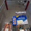 카멜롯베이크 | 영등포구청맛집 - 꽃담은 소, 양재 마카롱카페 - 카멜롯, 홍대 라쿤카페 - 맹쿤(웰시코기, 말라뮤트...