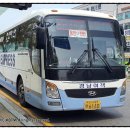 용인대버스정류장_R 이미지