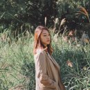 더 한올 이미지
