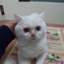 안양천 산책로 이미지