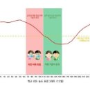 새라돈가스 이미지