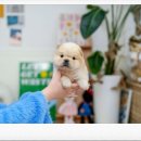 유앤미프라자 이미지