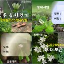 충북알프스자연휴양림 이미지