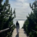 라이프인홈 | [공지] 키즈 홈라이프 소개 | 아이와 여행, 집살림을 기록해요