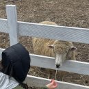 제이제이오토캠핑장 이미지