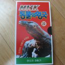 비디오왕국 이미지