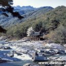 농월정주차장 이미지