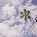 광남고등학교 이미지