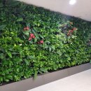 서초4동 주민센터 이미지