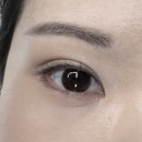 이벨 | 속눈썹펌 자연스럽고 손상없이 유지력 좋은곳, 천안 성성동 이벨 후기