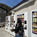 [대마도]팬스타 쓰시마링크호 결항, 멀미, 티엔티부산 여행사 후기, 발권 방법
