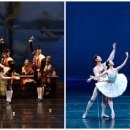 유니버설발레단 <호두까기인형 갈라> 이미지