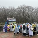 이도남광 이미지