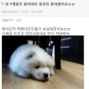 석