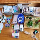 청정수풀 이미지