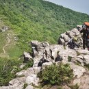 삼둔사가리 이미지