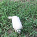 우승농장 이미지