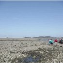 영흥 민박 이미지