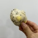 도곡1-105 | 강남 김영모과자점 도곡타워점 별콩다방 대치역점