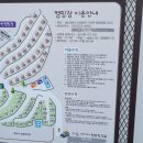 포레스트캠핑
