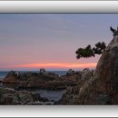 님들축산 이미지